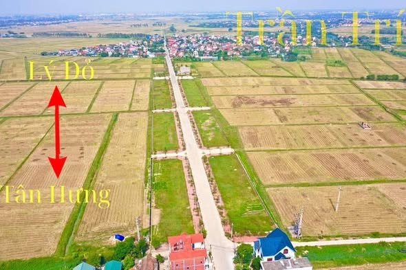 Đất nền Tân Hưng, Hải Dương 100m² giá 2.6 tỷ - Hướng Đông, tiện ích đầy đủ!