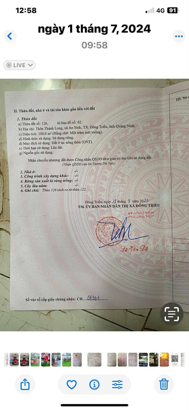 Đất nền An Sinh Đông Triều 100m² giá 6.5 triệu/m² - Cơ hội đầu tư hấp dẫn!