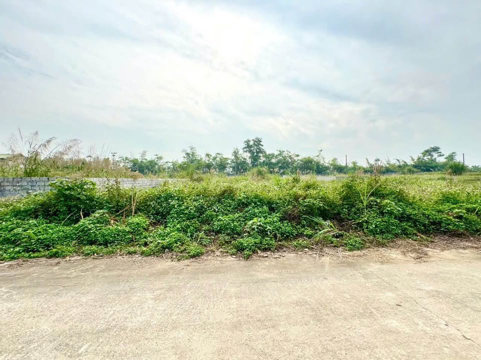 Đất nền Hoàng Văn Thụ 355m² giá 5 tỷ - Sổ đỏ chính chủ, gần hồ Văn Sơn!