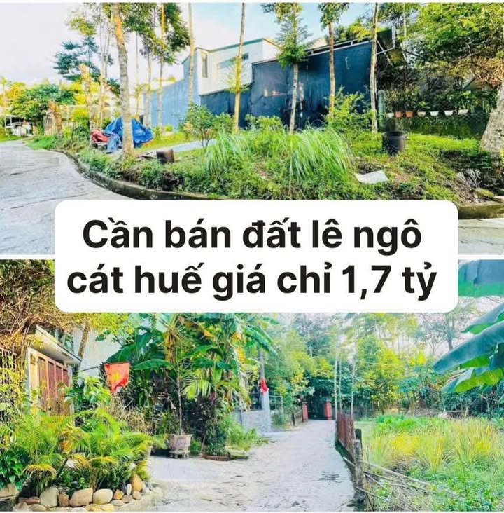 Đất 162m² đường Lê Ngô Cát - Giá tốt 1.7 tỷ, ô tô vào thoải mái!