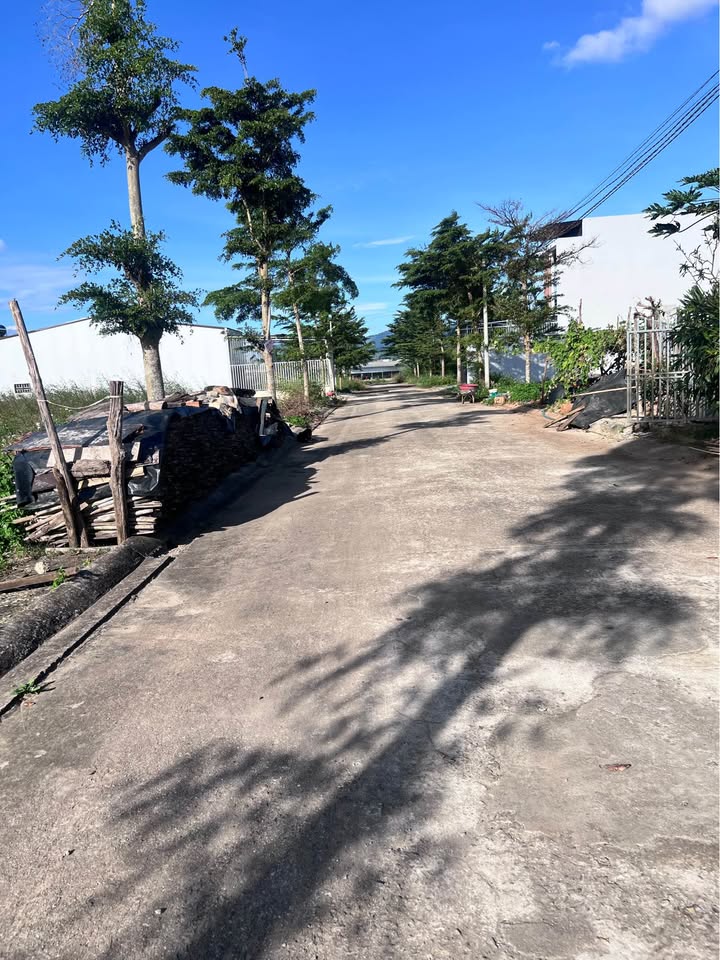 Đất nền chính chủ Liên Nghĩa, Đức Trọng 110m² giá 1.32 tỷ - Cơ hội đầu tư vàng!