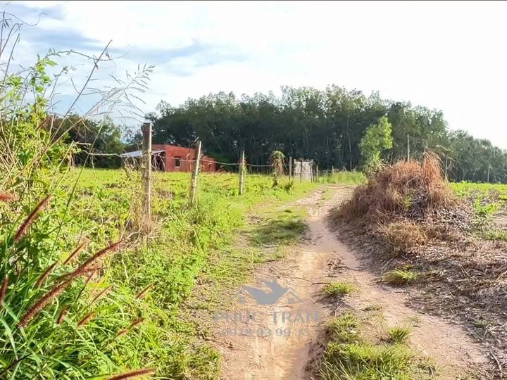 Đất nền xã Xuân Tâm, Xuân Lộc, 4680m² giá chỉ từ 1xx triệu - Mặt tiền rộng, tiện lợi!