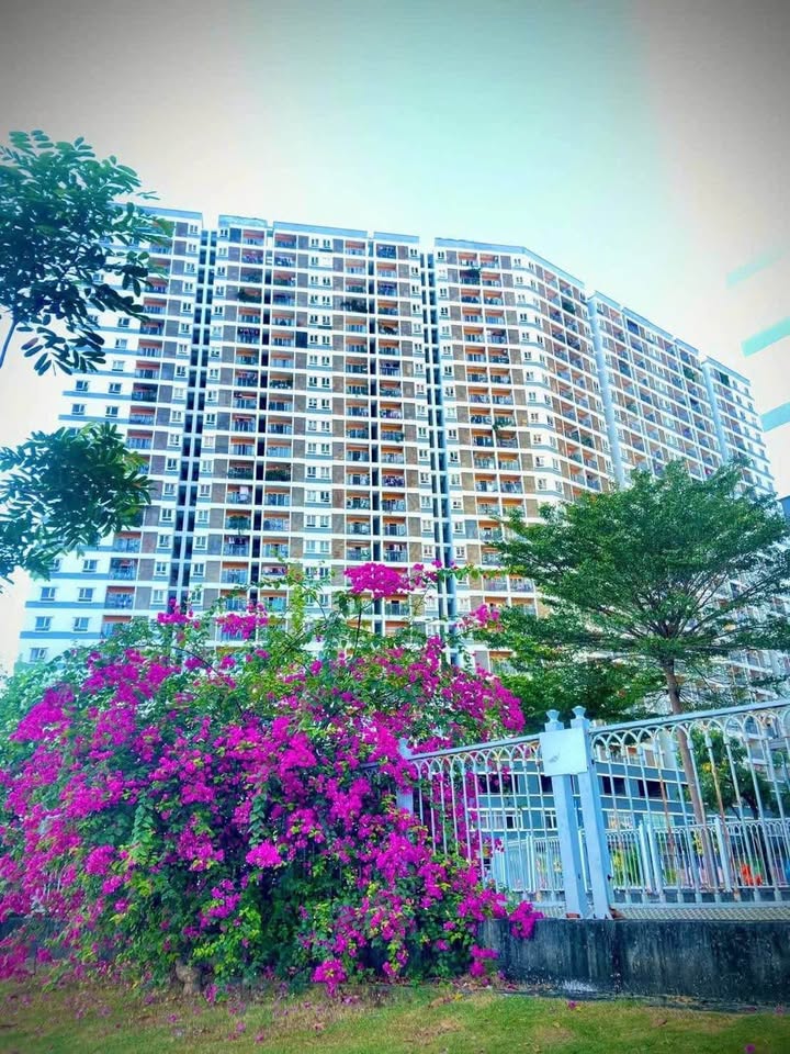 Căn hộ Jamona City Q7 73m² giá 4 tỷ - Căn góc rộng rãi, view thoáng!