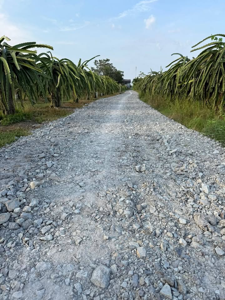 Đất thổ cư ấp Phú Xuân 2 - 175m² giá 370 triệu - Sổ hồng chính chủ!