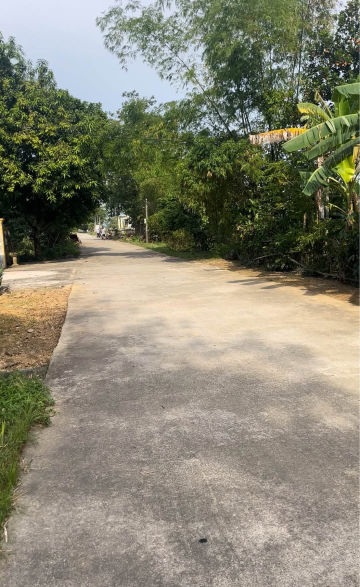 Đất nền khu phố Láo, xã Yên Sơn, 120m² chỉ 800 triệu - Cơ hội đầu tư tuyệt vời!