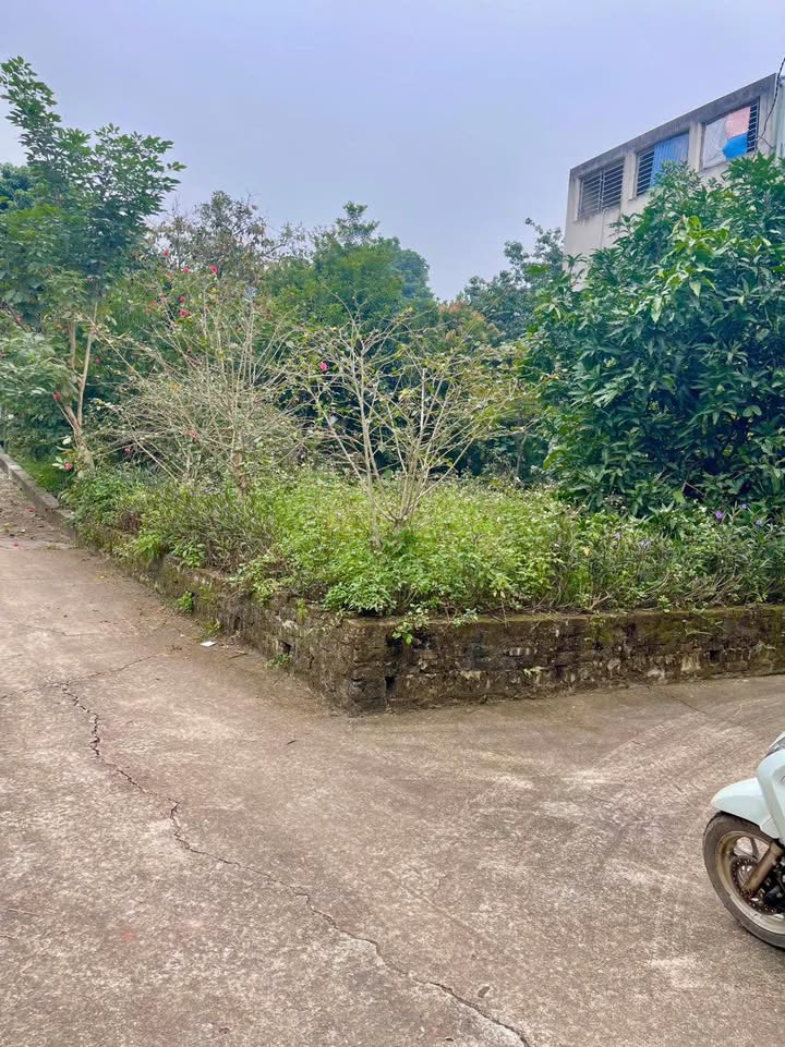 Đất thổ cư phường Thịnh Đán, Thái Nguyên 122m² giá 2 tỷ - Ô tô vào tận nơi!