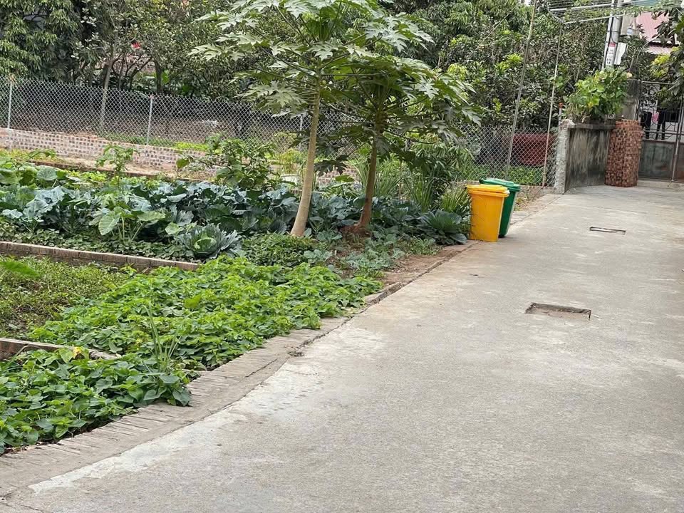 Đất nền Như Quỳnh - 65m² giá 2 tỷ - Đường thông ô tô, gần chợ!