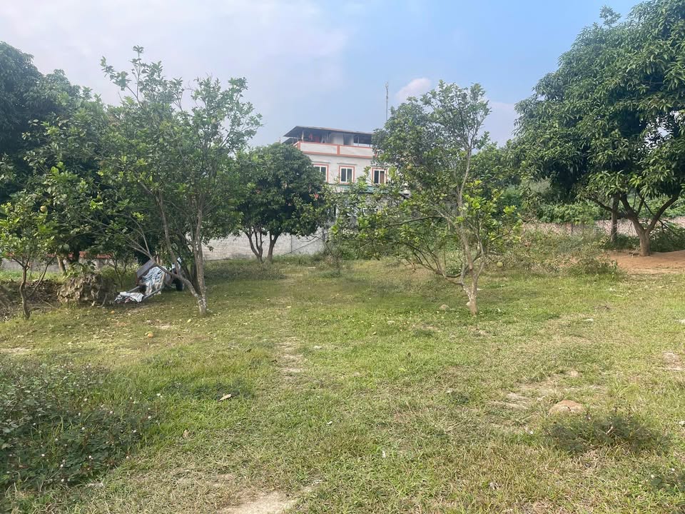 Đất nghỉ dưỡng Hồ Sơn, Tam Đảo 1300m² giá 2 tỷ - Đầu tư sinh lời tốt!