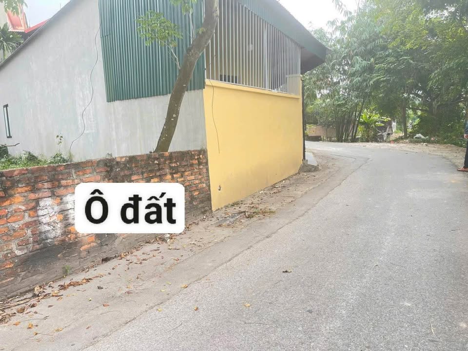 Đất nền Định Trung Vĩnh Yên 110m² giá chỉ 2 tỷ - Đầu tư sinh lời ngay!