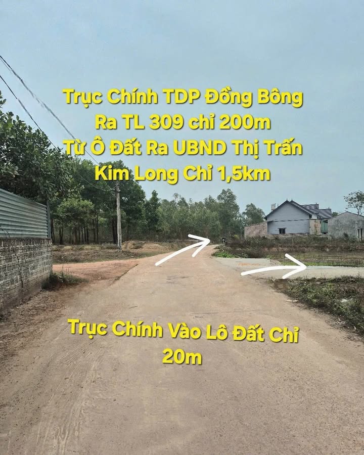 Đất thổ cư Kim Long, Tam Dương 135m² giá 500 triệu - Cơ hội đầu tư hấp dẫn!