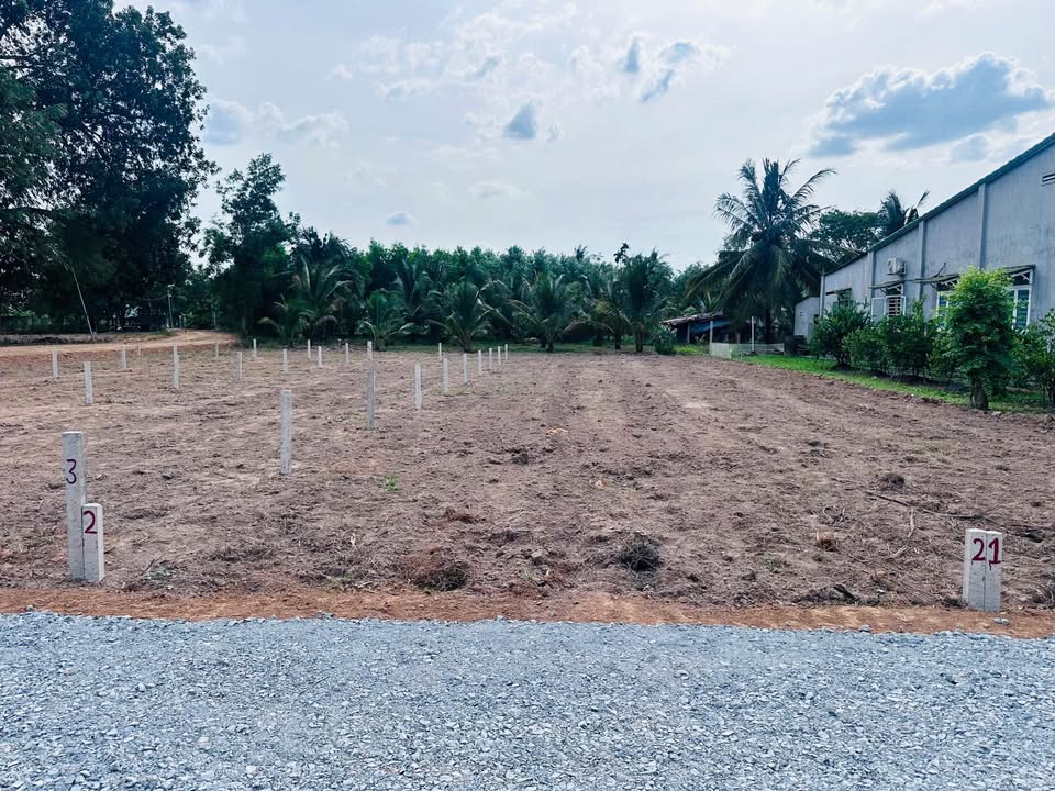 Đất nền ấp Thanh An, xã Châu Thành, Tây Ninh 135m² - Gần đường nhựa, giá tốt!