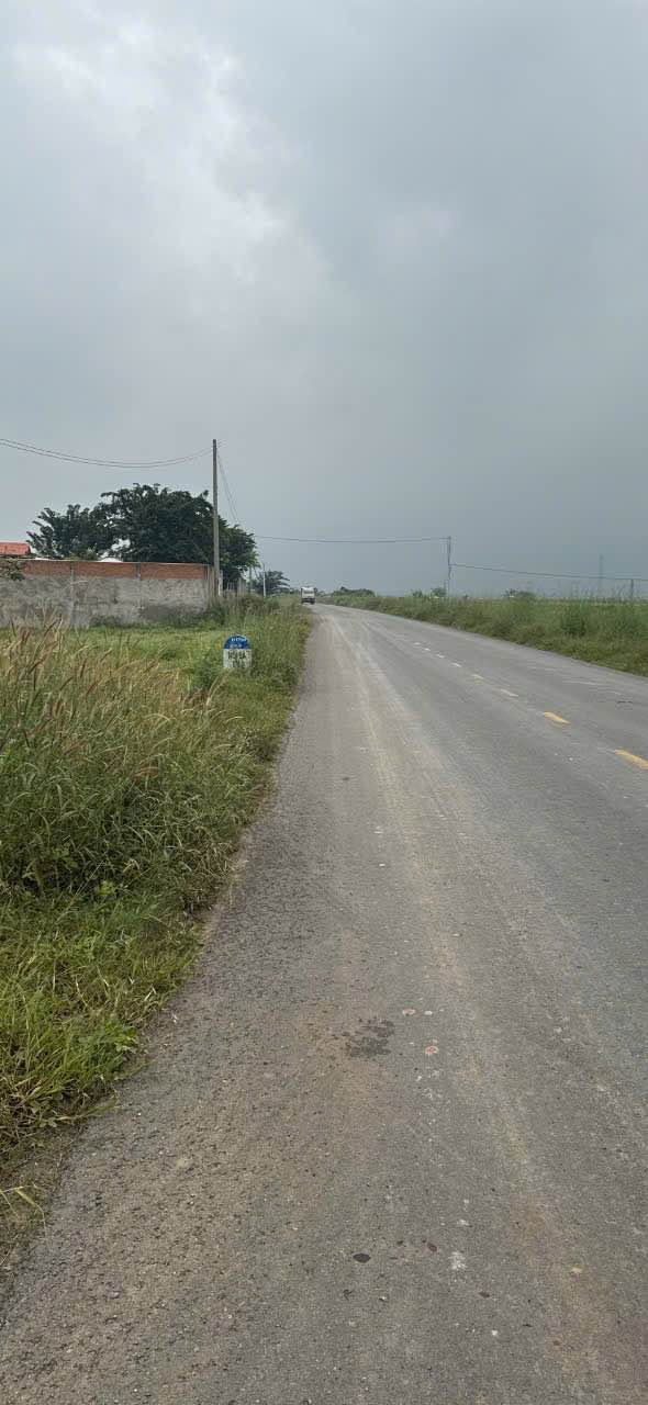 Đất nền 2731.7m² mặt tiền ĐT790, xã Suối Đá - Vị trí đắc địa gần hồ Dầu Tiếng!