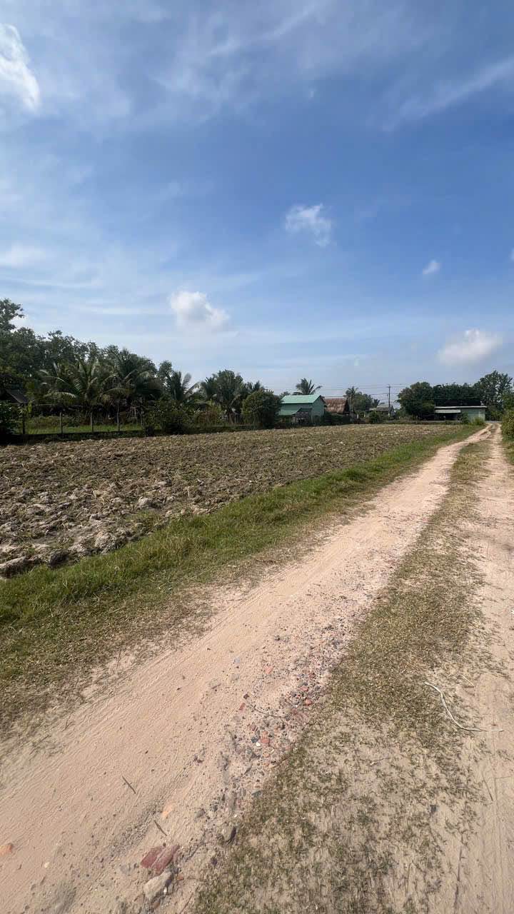 Đất nền chính chủ tại phường Thanh Điền, Tây Ninh - Giá chỉ 430 triệu