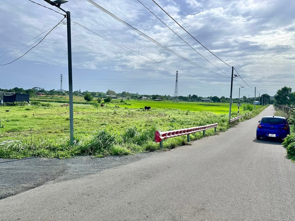 Đất nền Phước Long Thọ 260m² giá 890 triệu - Đầu tư sinh lời ngay!