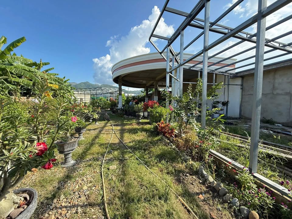 Đất Diên Toàn 750m² giá 20 tỷ - Giảm mạnh 2.5 tỷ, sổ đỏ chính chủ!