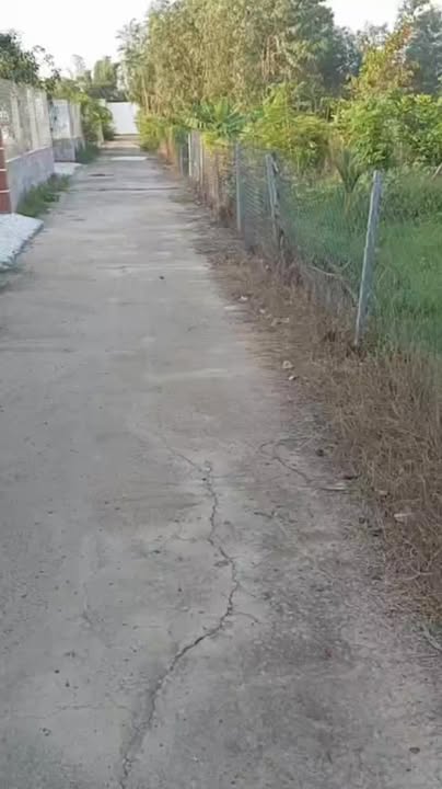 Nhà vườn 500m² tại xã Phước Hậu, Cần Giuộc - Giá chỉ 1.76 tỷ VND!