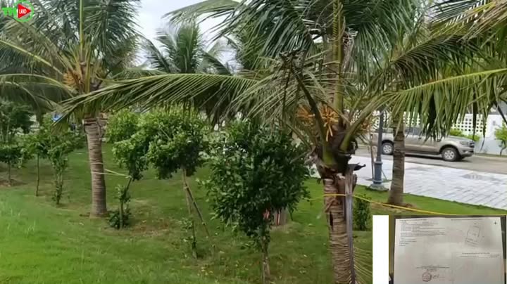 Đất nền Quảng Thái 502m² giá chỉ 6 tỷ - Tiềm năng vàng cho đầu tư!