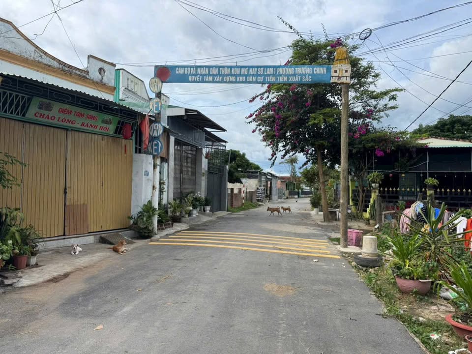 Đất mặt đường Đoàn Khuê, Trường Chinh, 250m² giá 700 triệu - Vị trí đắc địa, tiềm năng phát triển!