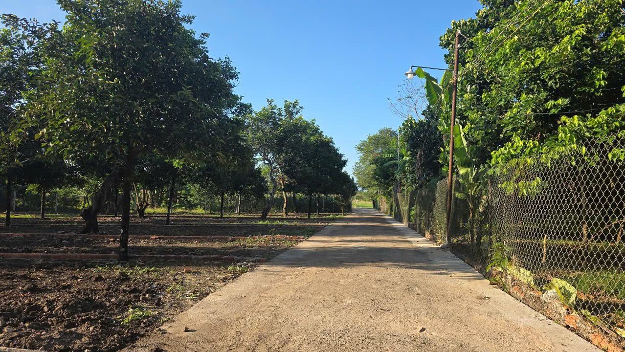 Đất nền Phường Bảo Vinh 150m² giá 780 triệu - Pháp lý rõ ràng, sẵn sàng xây dựng!