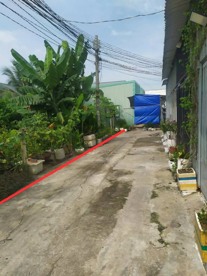 Đất vườn xã Rạch Kiến Tây Ninh 555m² giá 2.5 tỷ - Đầu tư sinh lời ngay!