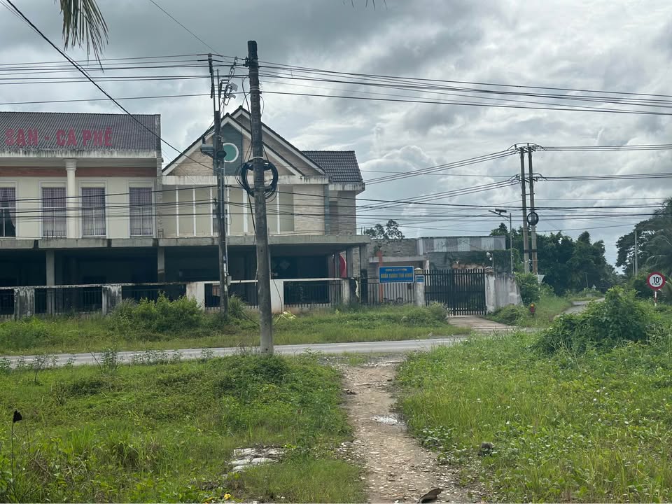 Đất vườn Trà Vinh 3300m² - Đối diện khách sạn Ngọc Trong Đá, giá thỏa thuận!