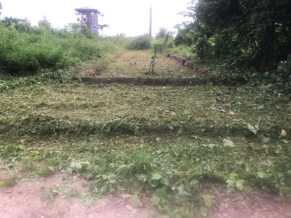 Đất dự án TĐC Linh Sơn 100m² giá 4 tỷ - Vị trí vàng gần ĐH FPT!