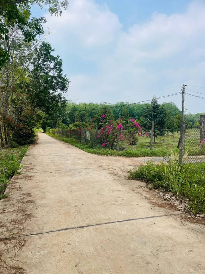 Đất nền Hưng Long Chơn Thành 167m² giá 450 triệu - Sổ đỏ chính chủ, đầu tư sinh lời!