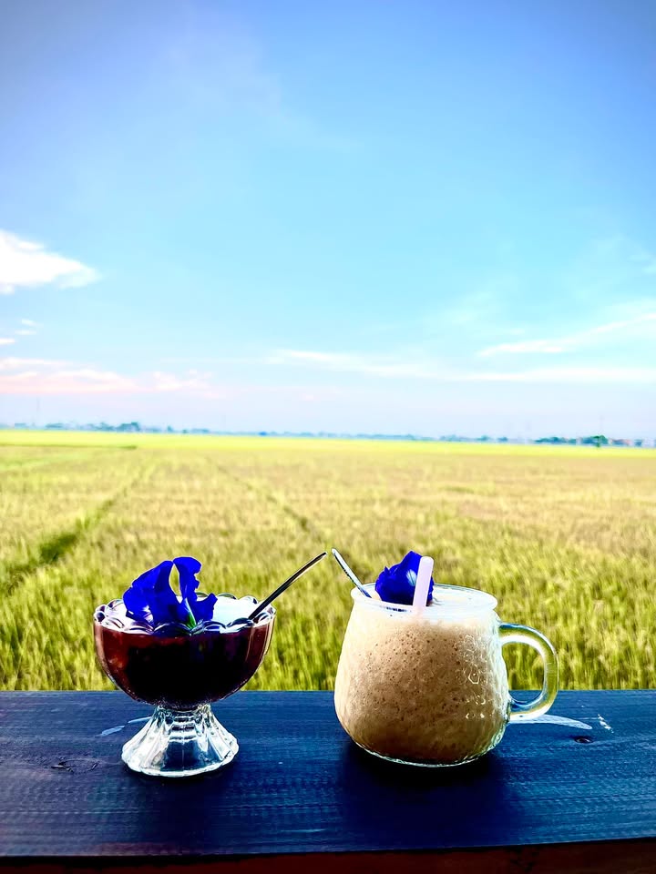 Đất mặt tiền Võ Nguyên Giáp, Ngũ Hành Sơn, Đà Nẵng 306m² giá 49.5 tỷ - Cơ hội đầu tư hiếm có!