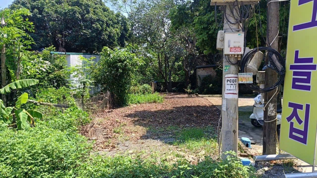 Đất nền Quốc Oai 83.5m² giá thỏa thuận - Cơ hội đầu tư hấp dẫn!