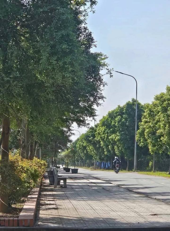 Đất nền Yên Mỹ, Thanh Trì 484m² giá chỉ 6 triệu/m² - Đầu tư lý tưởng!