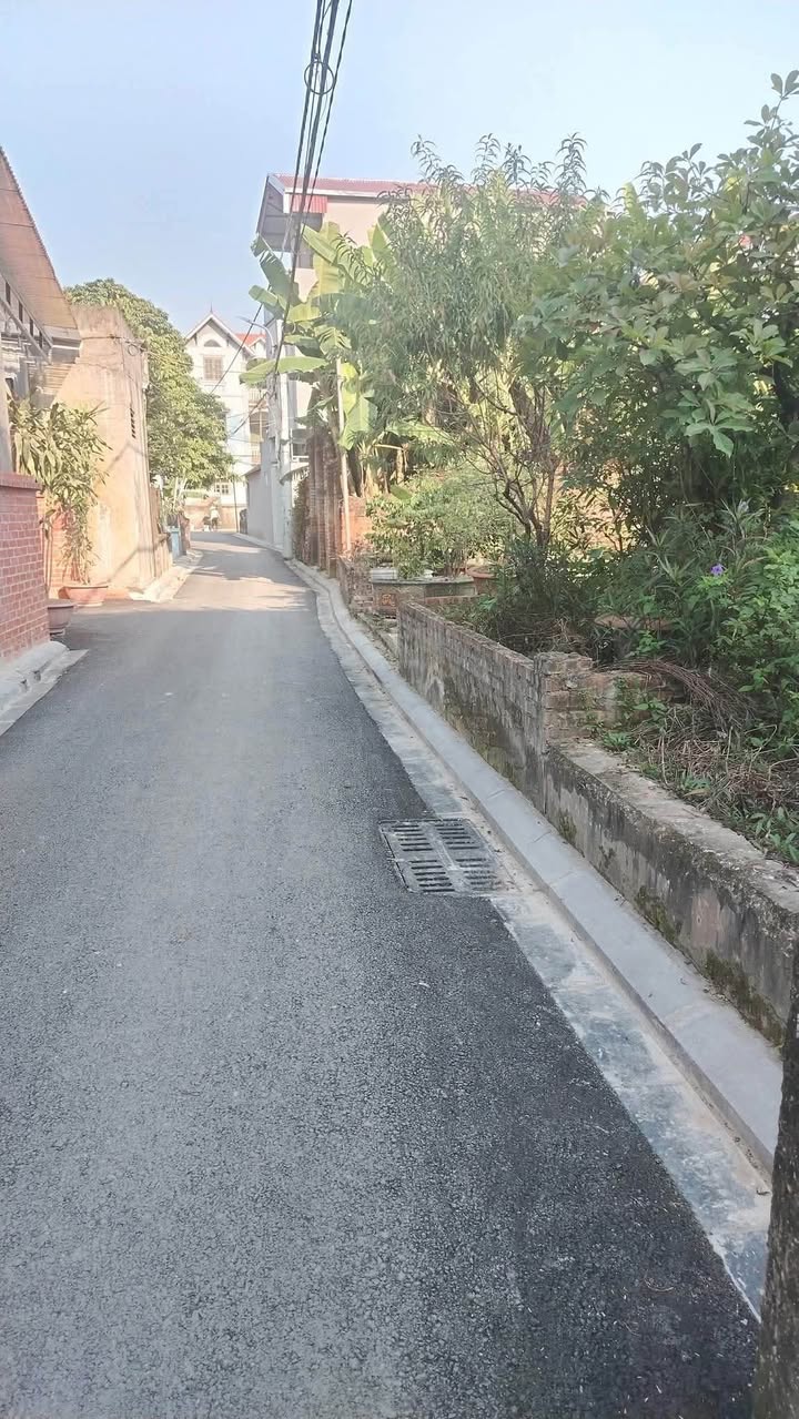 Đất nền Mai Lâm Đông Anh 46m² giá 5 tỷ - Cơ hội đầu tư hiếm có!