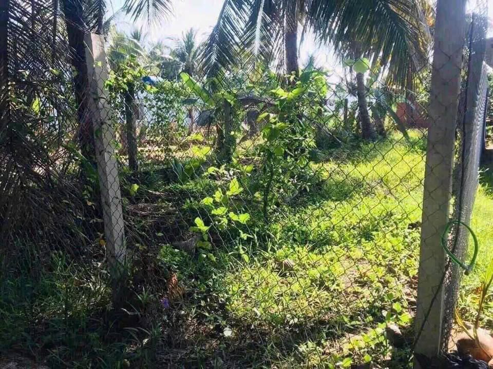 Đất nền Tiên Thủy, Châu Thành 125m² giá 500 triệu - Tiềm năng sinh lời cao!