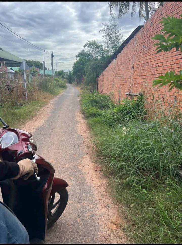 Đất thổ cư 256m² tại ấp Bàu Sen, Tây Ninh - Giá chỉ 260 triệu - Cơ hội đầu tư hấp dẫn!