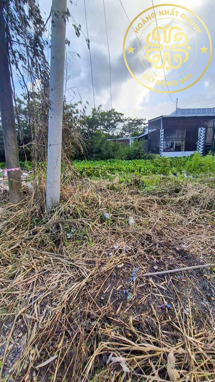 Đất nền mặt tiền đường Tôn Đức Thắng, Cà Mau 100m² - Giá tốt, tiềm năng phát triển!