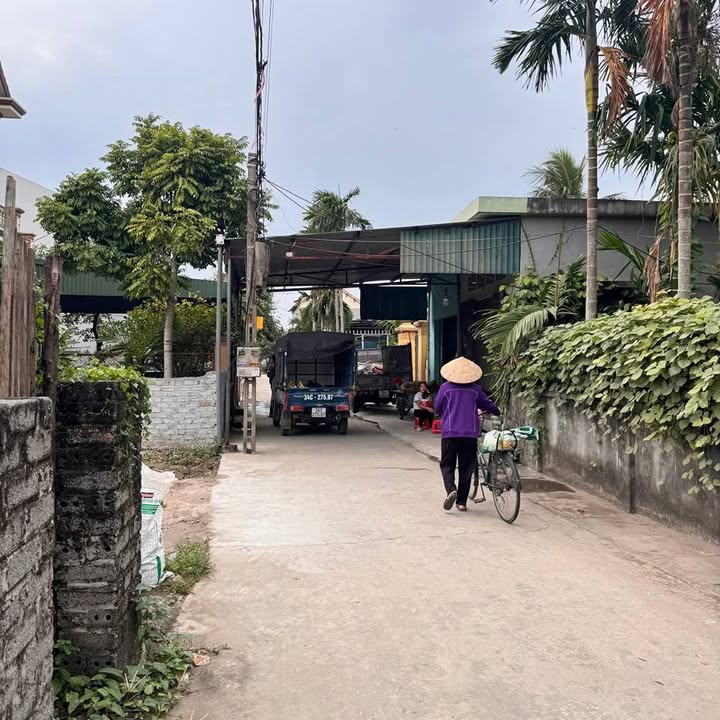 Đất nền Tứ Kỳ 211m² giá thỏa thuận - Cơ hội đầu tư hấp dẫn!