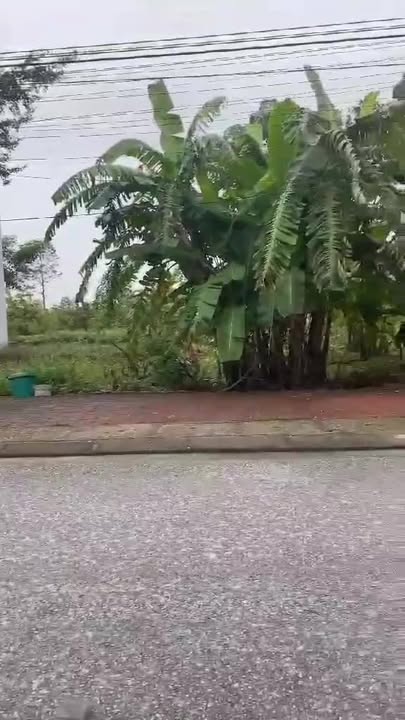 Đất mặt đường Yên Thái 125m² giá thỏa thuận - Cơ hội đầu tư sinh lời!