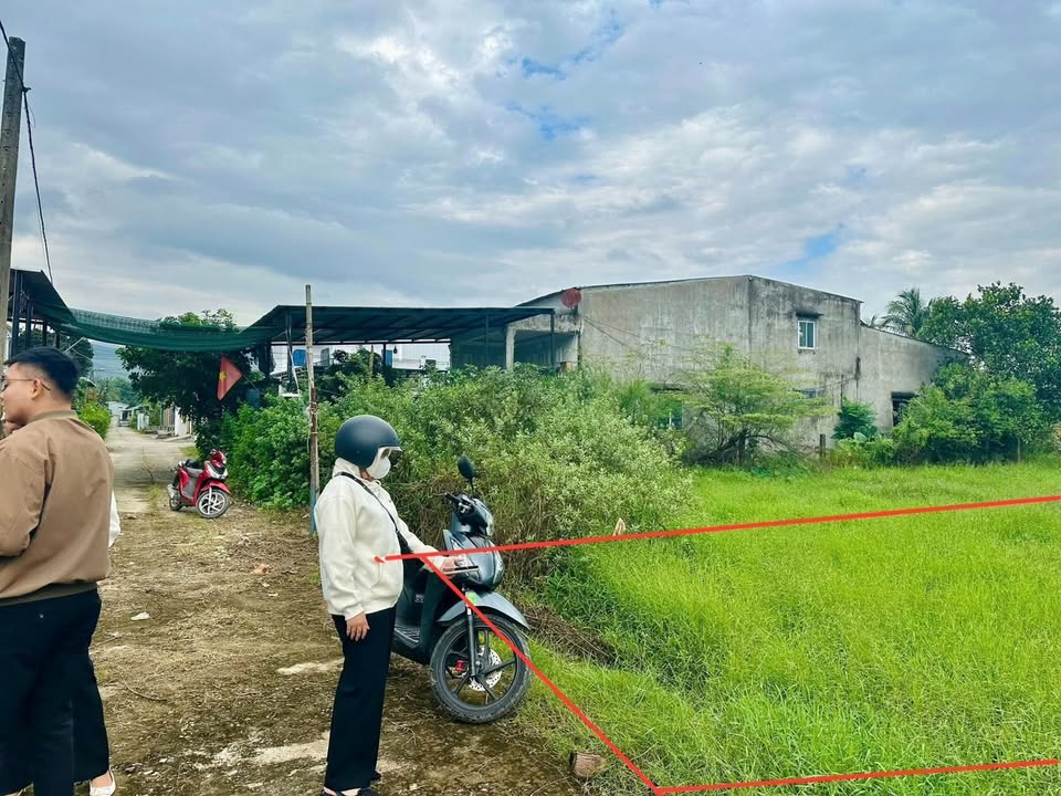 Đất vườn 214m² phường Đại Hiệp, giá chỉ 850 triệu - Đầu tư sinh lời ngay!