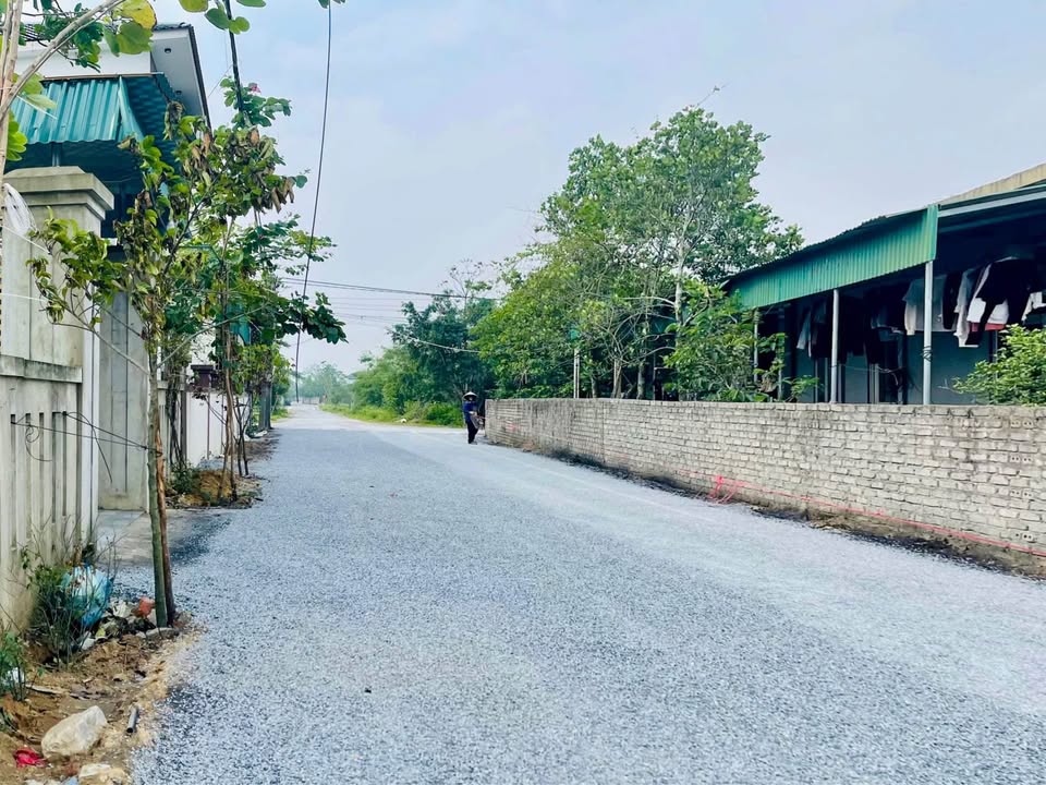 Đất nền Phúc Thọ 100m² giá chỉ 890 triệu - Giao thông thuận tiện!