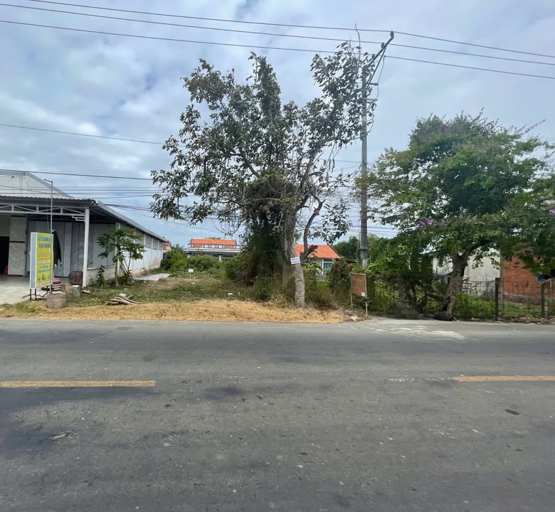 Đất nền mặt tiền QL57B, xã Thạnh Phước, diện tích 220m² giá chỉ 1.35 tỷ - Tiềm năng đầu tư lớn!