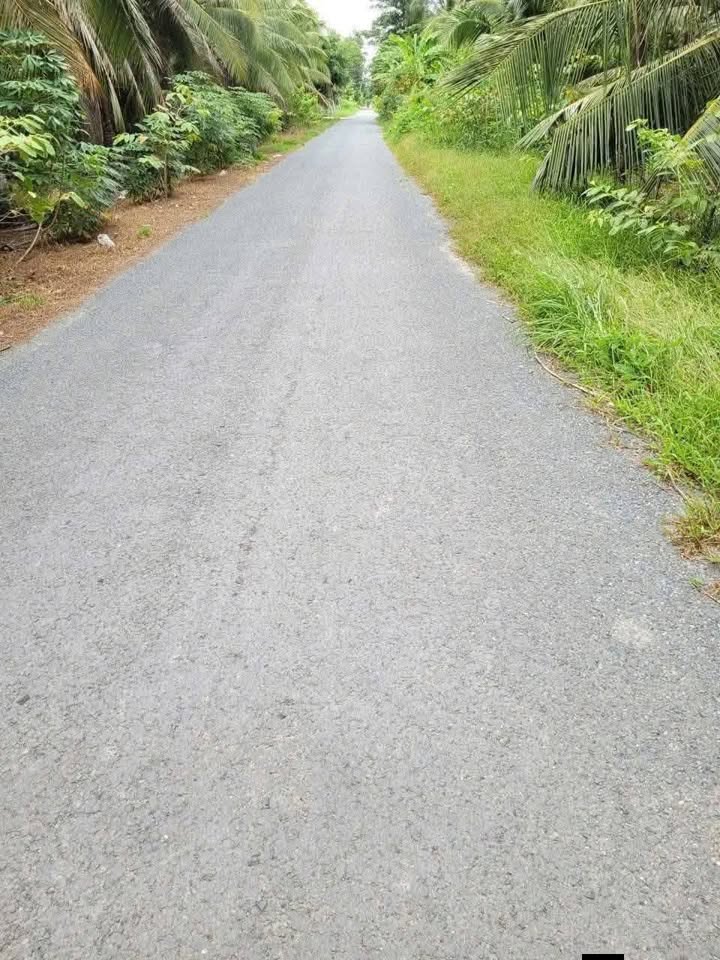 Đất mặt tiền lộ nhựa Đê Tây 6057m² giá 3.5 tỷ - Cơ hội đầu tư hấp dẫn!