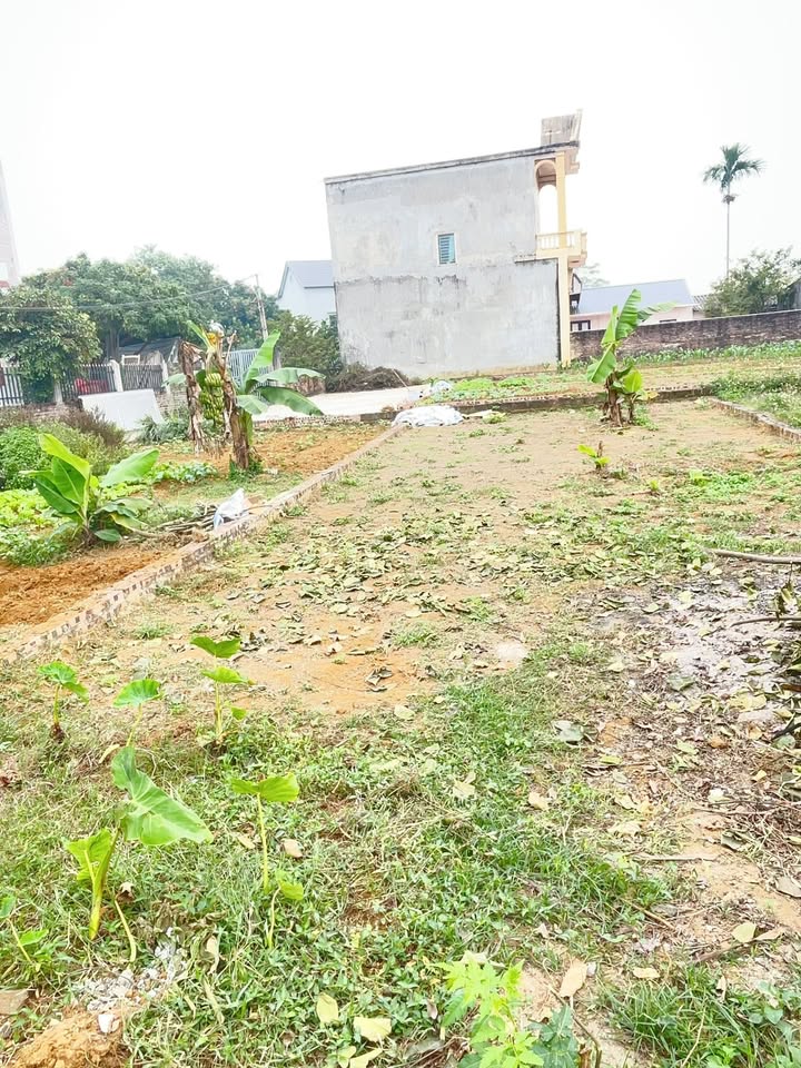 Đất thổ cư 100m² mặt tiền 6,10m tại Đông Yên, Quốc Oai - Giá chỉ 2 tỷ!