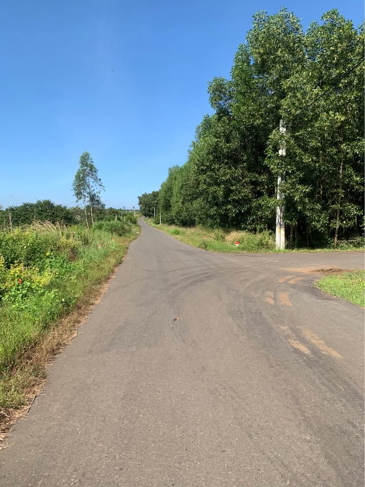 Đất nền mặt tiền Quảng Phú Tân An 80m² - Tiềm năng đầu tư hấp dẫn!