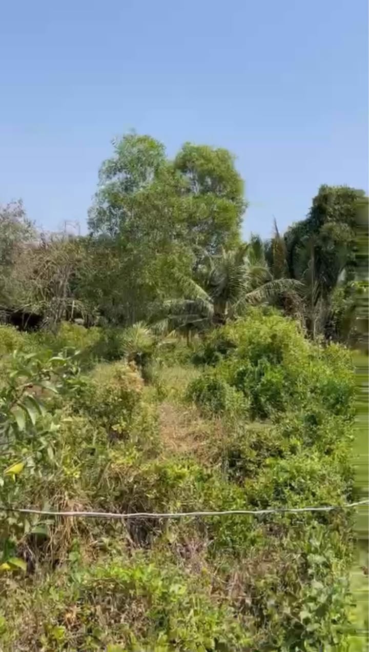 Đất trồng lúa 3072m² Hiệp Phước Nhà Bè giá 4.61 tỷ - Cơ hội đầu tư sinh lời!