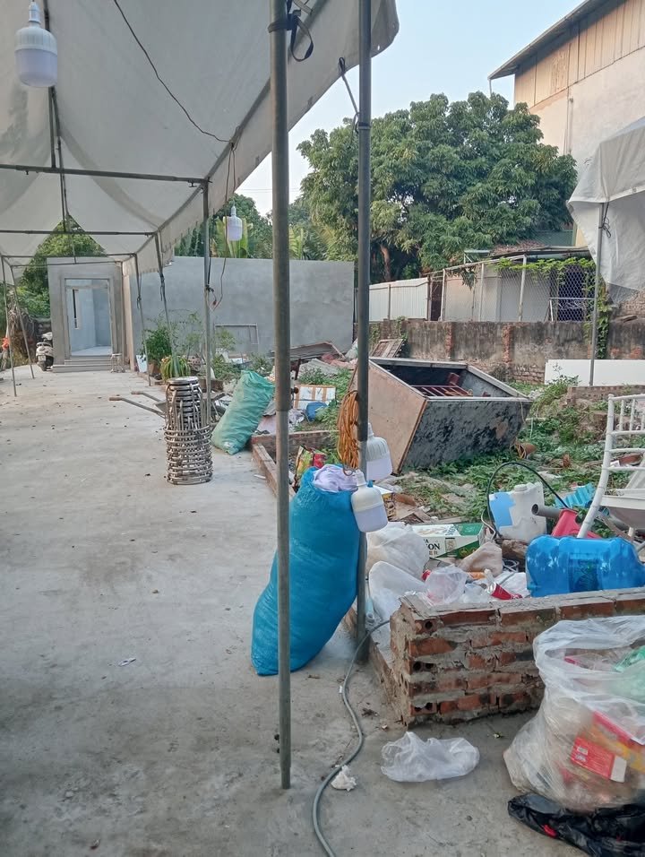 Đất thổ cư 80m² tại Đông Mỹ, Thanh Trì, Hà Nội - Giá chỉ 8 tỷ, cần bán gấp!