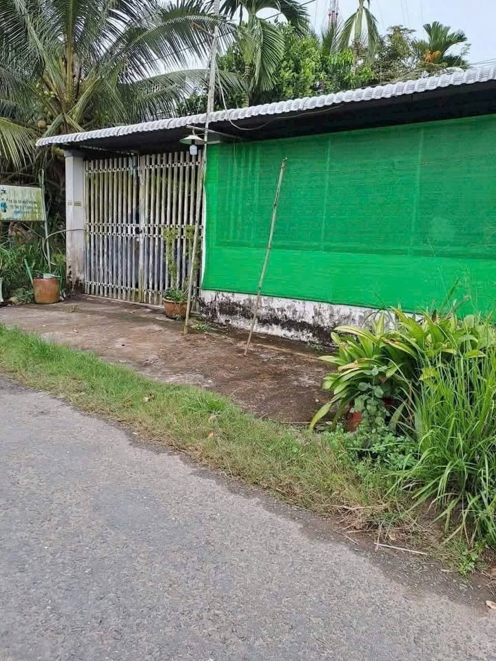 Nhà cấp 4 256m² tại Ấp Ô Trôm, Trà Vinh - Giá chỉ 800 triệu, vào ở ngay!