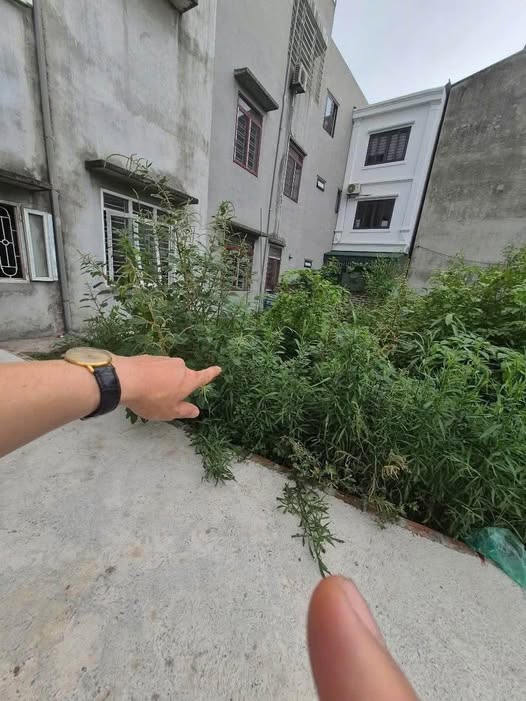 Đất Vĩnh Quỳnh 50m² giá 400 triệu - Mặt tiền 5m ô tô vào tận nơi!