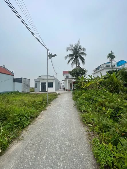 Đất nền 56.6m² tại Quận An Dương - Giá 900 triệu - Sẵn sàng cho đầu tư!