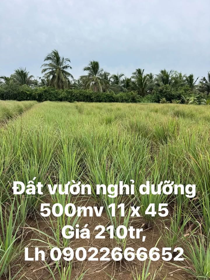 Đất vườn nghỉ dưỡng 500m² tại Phú Thạnh, Tân Phú Đông - Sổ hồng chính chủ chỉ 210 triệu!