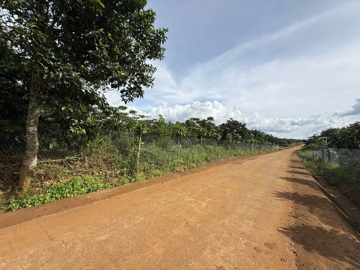 Đất thổ cư 2400m² Lộc Đức, Bảo Lâm giá chỉ 3.25 tỷ - Sẵn sàng đầu tư!