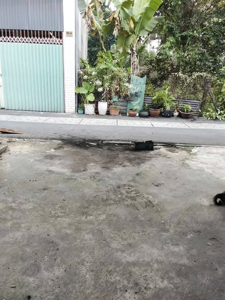 Đất ngay chợ Phú Văn, 130m² giá 2.5 tỷ - Bán đất tặng nhà cấp 4!